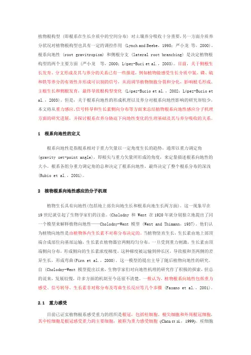 植物根系向地性感应的分子机理与养分吸收