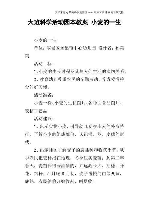大班科学活动园本教案小麦的一生