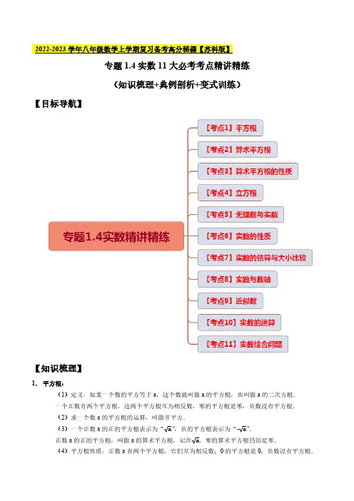 实数11大必考考点精讲精练