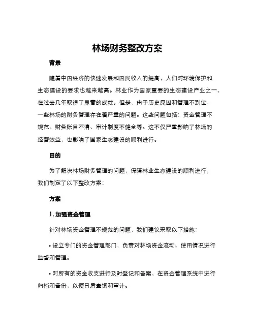 林场财务整改方案