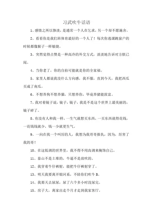 习武吹牛话语