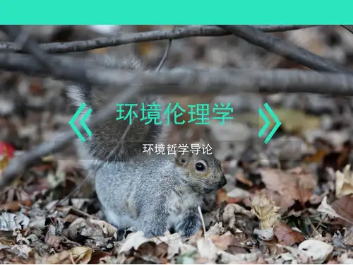 环境伦理学第七章