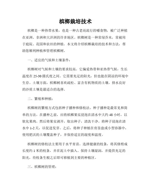 槟榔栽培技术