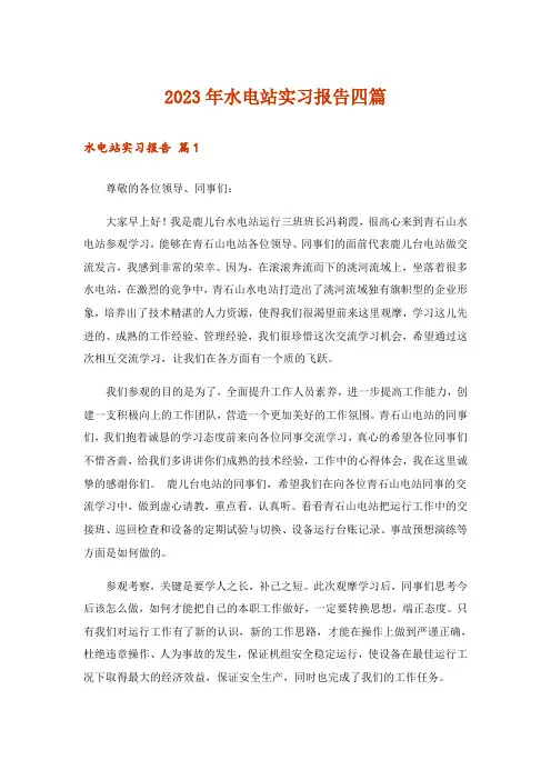 2023年水电站实习报告四篇