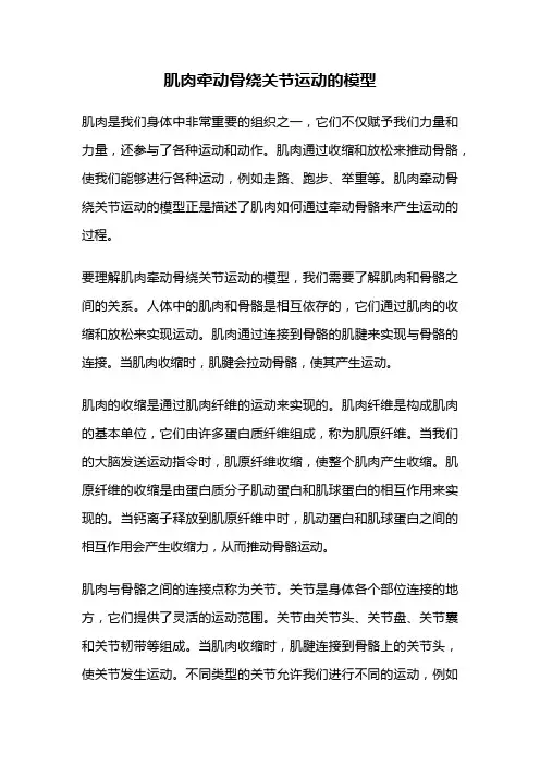 肌肉牵动骨绕关节运动的模型