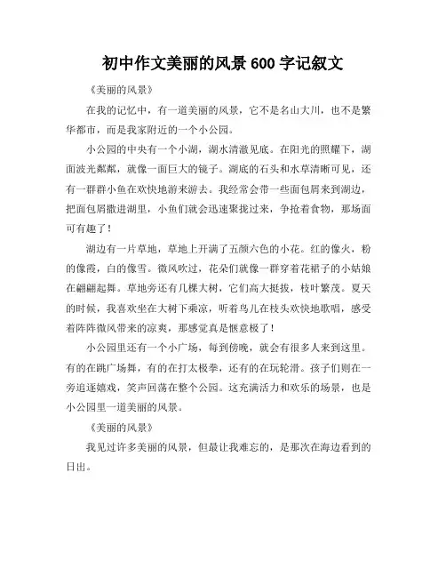 初中作文美丽的风景600字记叙文