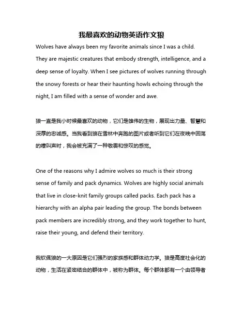 我最喜欢的动物英语作文狼