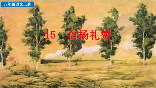 白杨礼赞部编语文八年级上册PPT课件