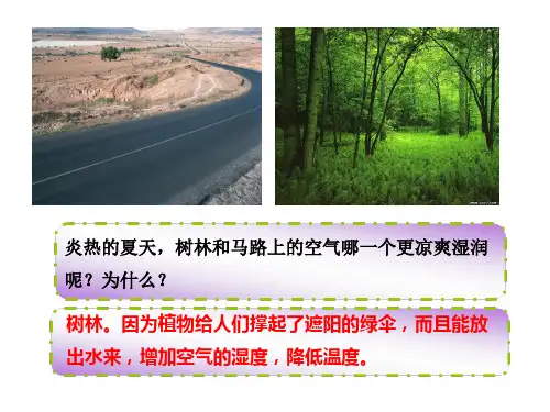 济南版七年级生物上册2.1.2《绿色植物的蒸腾作用》课件(共24张PPT)