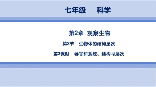 浙教版科学 7年级上册 第2章   第3节 第3课时 器官和系统、结构与层次