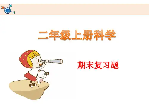 二年级上册科学课件-知识点与复习题 科教版(共20张PPT)
