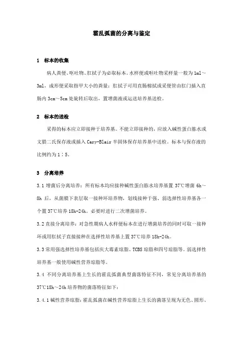 霍乱弧菌的分离与鉴定