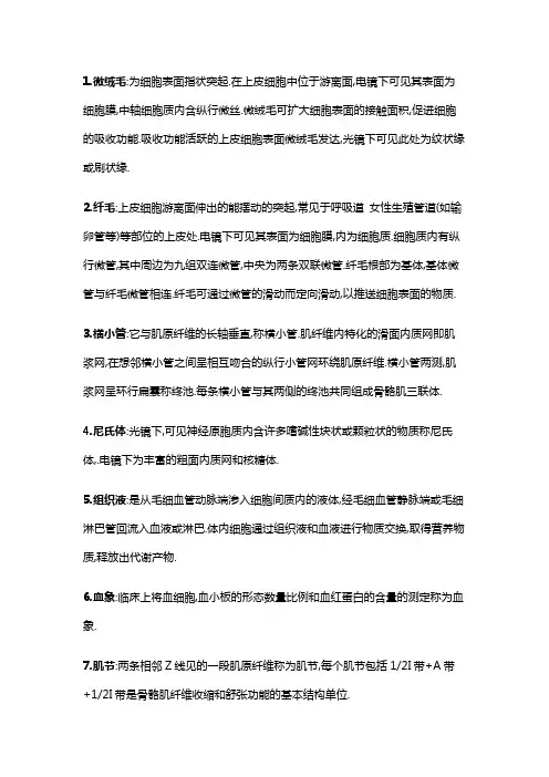 组织胚胎学-名词解释