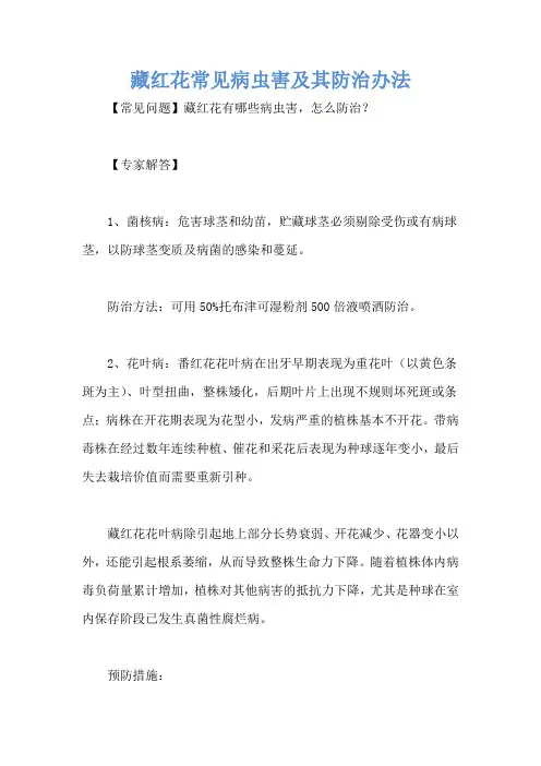 藏红花常见病虫害及其防治办法