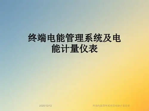 终端电能管理系统及电能计量仪表