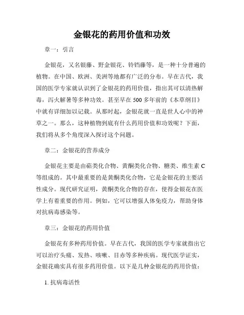 金银花的药用价值和功效