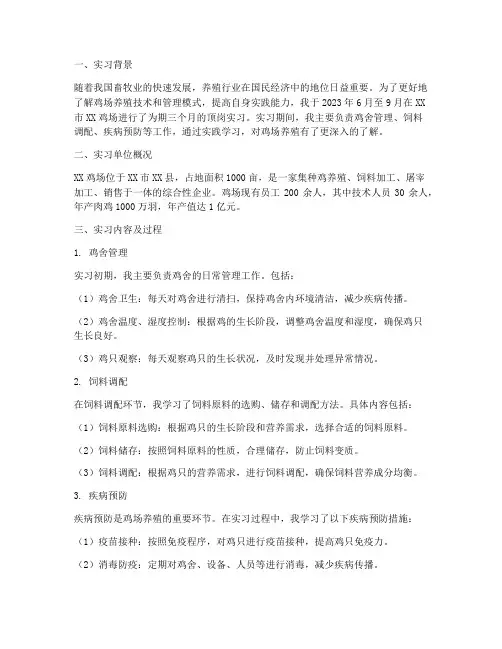 鸡场顶岗实习报告范文