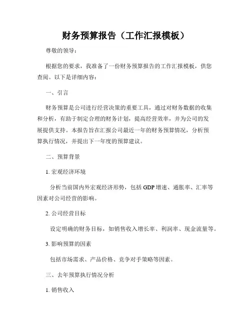 财务预算报告(工作汇报模板)