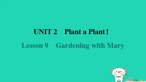 2024八年级英语下册Unit2PlantaPlantLesson9GardeningwithMar