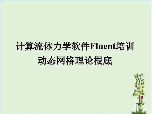 4-1Fluent流体模拟培训教程-动网格详解