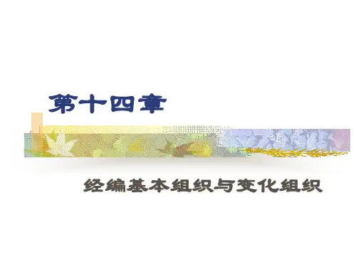 第14章经基本组织与变化组织