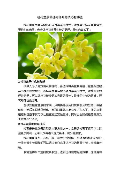 桂花盆景最佳树形修剪技巧有哪些