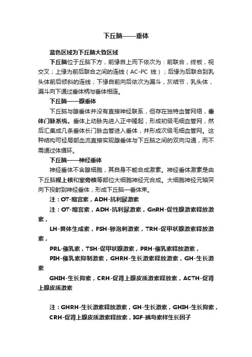 下丘脑——垂体
