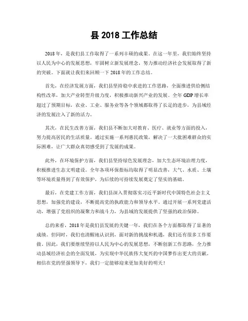 县2018工作总结