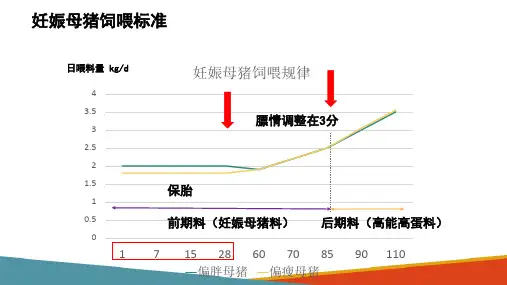 养猪生产—妊娠母猪的饲养与管理(动物生产技术课件)