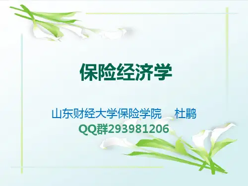 保险经济学1