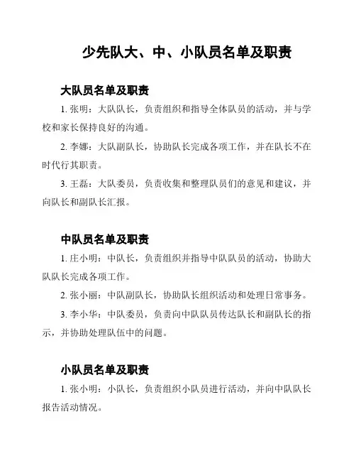 少先队大、中、小队员名单及职责