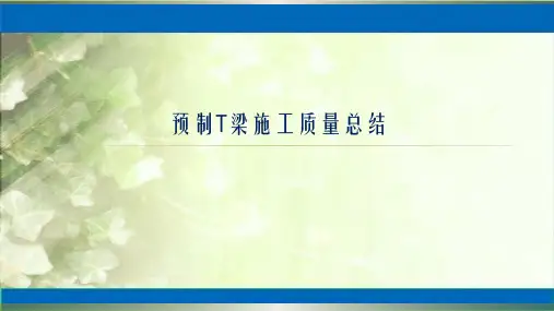 预制T梁施工质量总结PPT