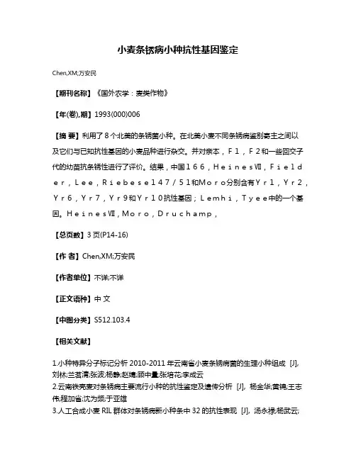 小麦条锈病小种抗性基因鉴定