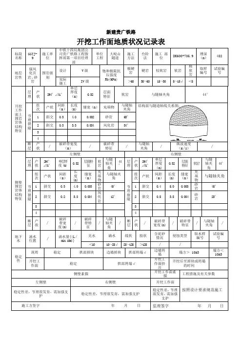 掌子面地质素描模板
