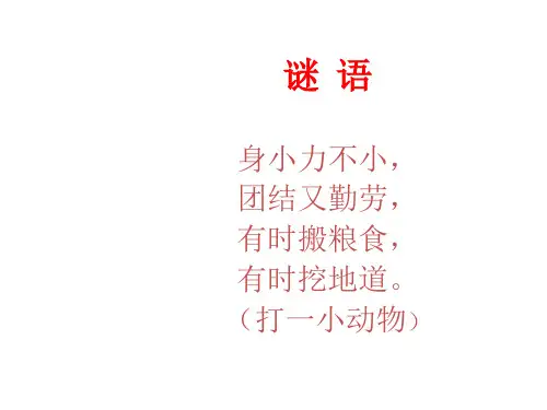【教科版】小学科学三年级上册《蚂蚁》
