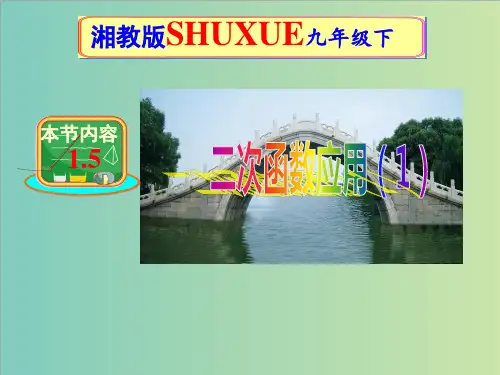 1.5二次函数的应用(第1课时)课件(共10张ppt)