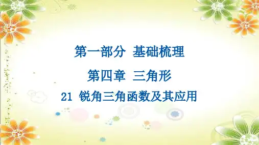 2024年中考数学总复习课件：第四章三角形21+锐角三角函数及其应用