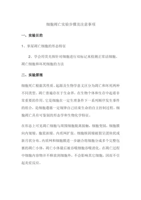 细胞凋亡实验步骤及注意事项