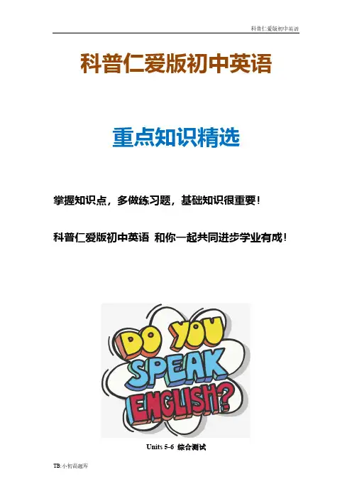 科普仁爱版初中英语九年级下册Units_5-6_综合测试