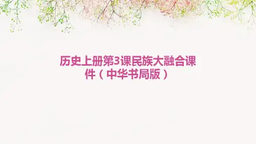 历史上册第3课民族大融合课件中华书局版