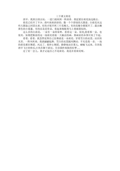 三下课文荷花