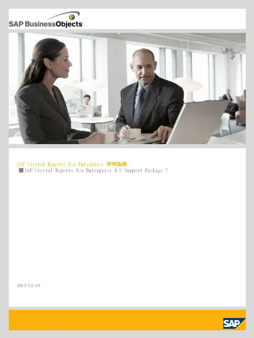 SAP Crystal Reports for Enterprise 4.0 使用指南说明书