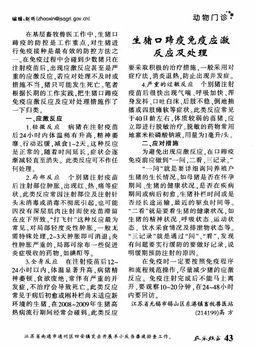 生猪口蹄疫免疫应激反应及处理