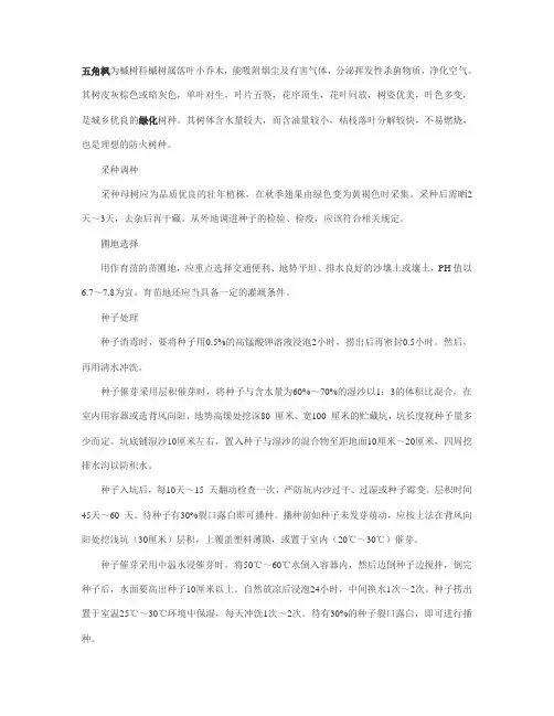 五角枫