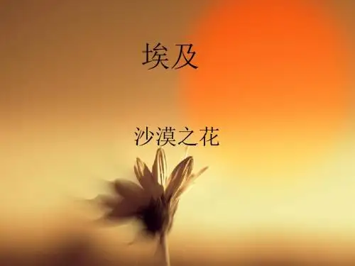 七年级下册地理课件-8.2《第二节 埃 及》课件2 湘教版