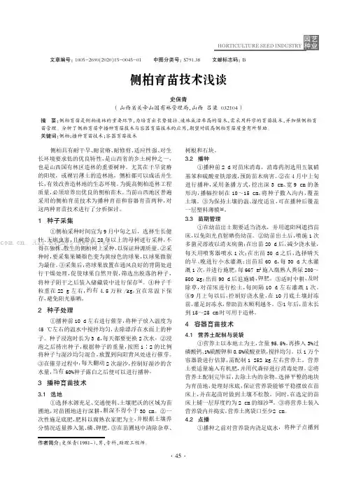 侧柏育苗技术浅谈