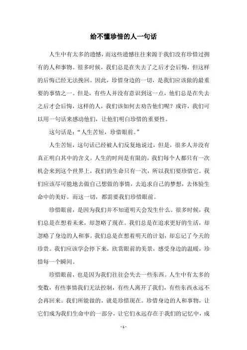 给不懂珍惜的人一句话