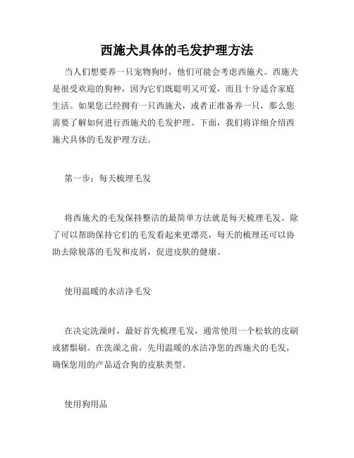 西施犬具体的毛发护理方法 