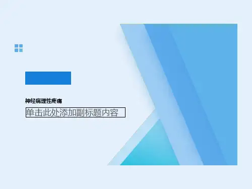神经病理性疼痛