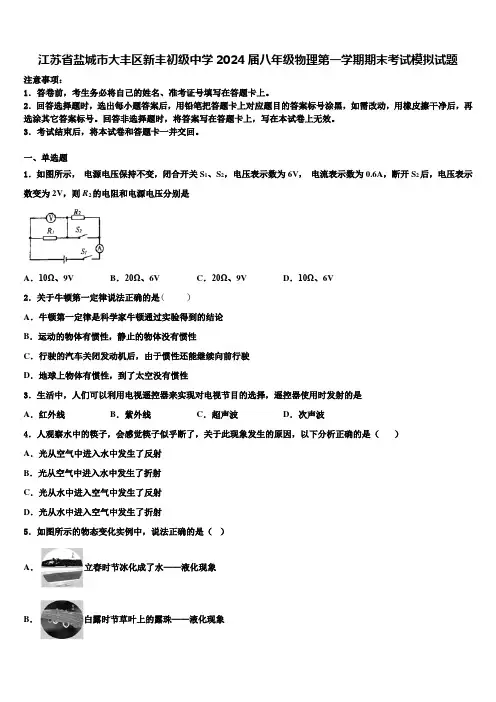 江苏省盐城市大丰区新丰初级中学2024届八年级物理第一学期期末考试模拟试题含解析